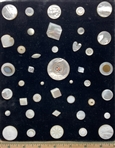 Shell  