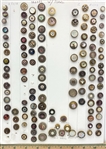 Shell in Metal