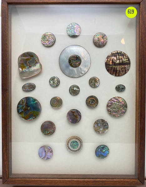 Abalone