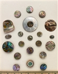 Abalone