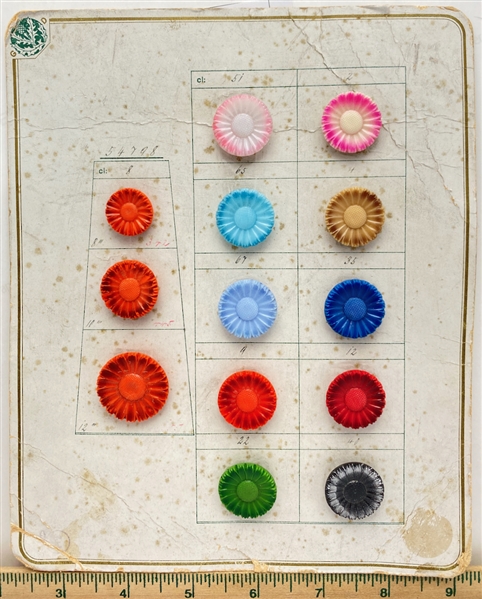 Sample Card