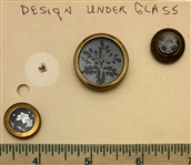 Glass in Metal