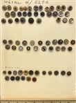 Pigeon Eyes Plus