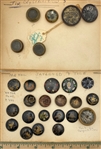 Tole & Crystalized Tin