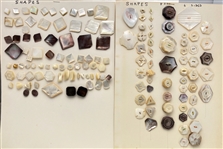 Shell Shapes