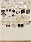 Shell Shapes