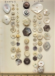 Shell Shapes