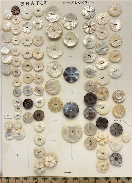 Shell Shapes