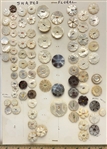 Shell Shapes