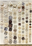 Shell Shapes
