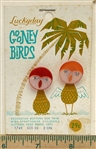 Gooney Birds