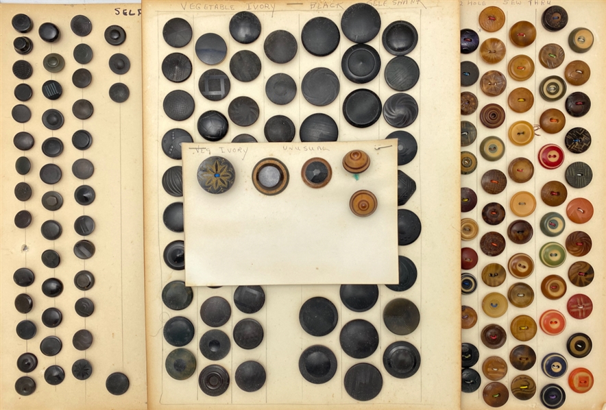 Vegetable Ivory
