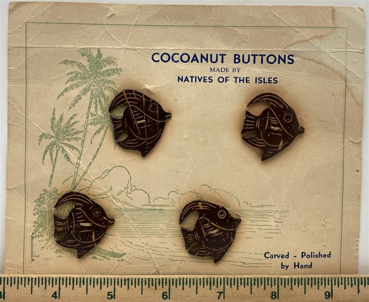 Coconut Shell