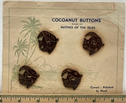 Coconut Shell