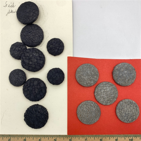 Fish Skin Buttons