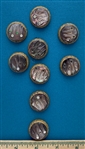 Shell in Metal