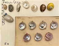 Shell Sets