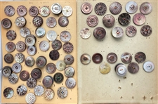 Mostly Carved Shell