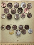Mostly Carved Shell