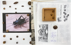 Cricket Cages