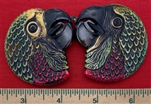 Parrot Heads