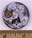 Three Cats