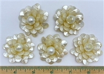 Pearlized Plastic