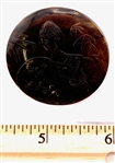 Large Horn Pictorial