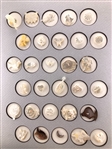 Shell Realistics