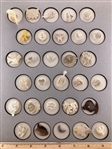 Shell Realistics