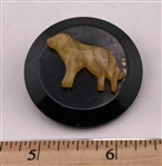 Dog on Bakelite