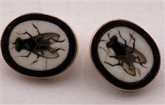 Beautiful Flies