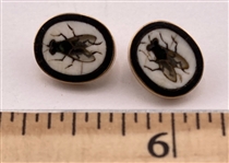 Beautiful Flies