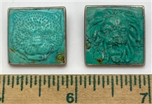 Turquoise Wild Cats