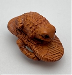 Toad on a Sandal