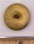 Painted Horn