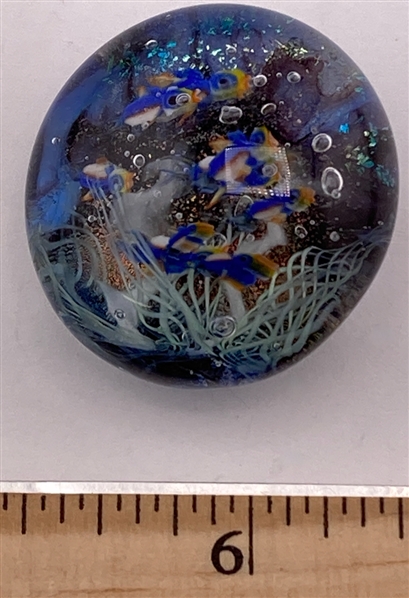 Under Sea View
