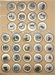 Lois Calkins Buttons