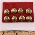 Small Satsumas