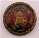 Large Horn Button