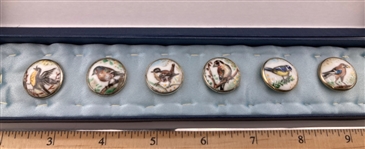 A Set of Bird Buttons